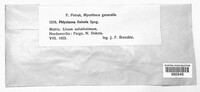 Image Associated With the Occurence